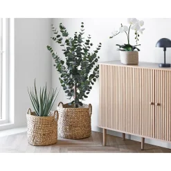 Hot Boliginteriør BOLIGINTERIØR EUKALYPTUS TRÆ KUNSTIG PLANTE 120 CM