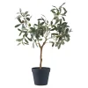 Best Boliginteriør BOLIGINTERIØR OLIVENTRÆ KUNSTIG PLANTE 61 CM