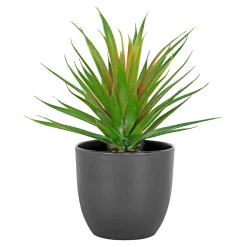 Hot Boliginteriør BOLIGINTERIØR SUKULENT KUNSTIG PLANTE 20,5 CM
