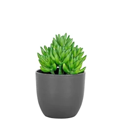 New Boliginteriør BOLIGINTERIØR SUKULENT KUNSTIG PLANTE 17 CM