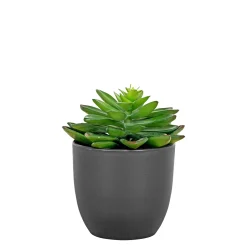 Outlet Boliginteriør BOLIGINTERIØR SUKULENT KUNSTIG PLANTE 15 CM