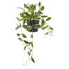 Boliginteriør BOLIGINTERIØR VOKSBLOMST KUNSTIG PLANTE 33 CM