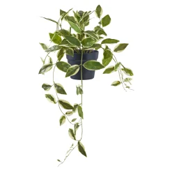 Boliginteriør BOLIGINTERIØR VOKSBLOMST KUNSTIG PLANTE 33 CM