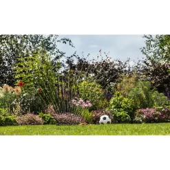 Online Bosch DIY GARDENPUMP 18V-2000 HAVEPUMPE