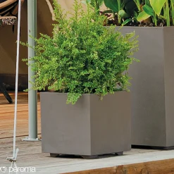 Sale Deroma MILLENIUM 208-623 PLANTEKASSE PLASTIK SANDSTEN 49X49X49 CM
