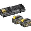 New Dewalt DCB132T2 LADER 18V