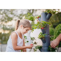 Discount Garden Life JORDBÆR PLANTEKASSE Ø32XH77 CM