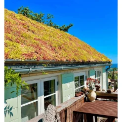 New GrowTek SEDUMPLUS SEDUMMÅTTE