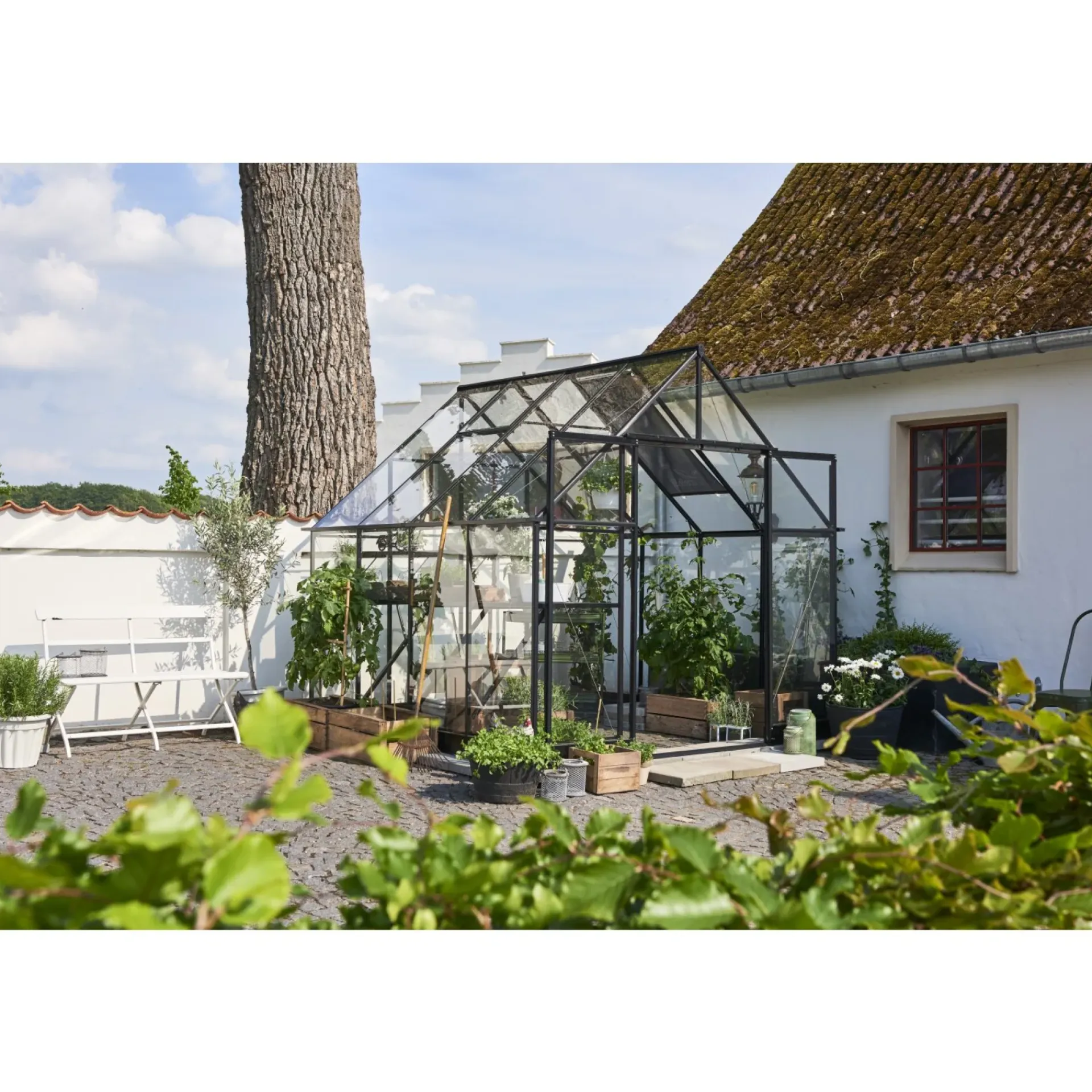 Discount Halls QUBE+ 88 DRIVHUS 3 MM HÆRDET GLAS HELE BANER SORT 6,6 M2