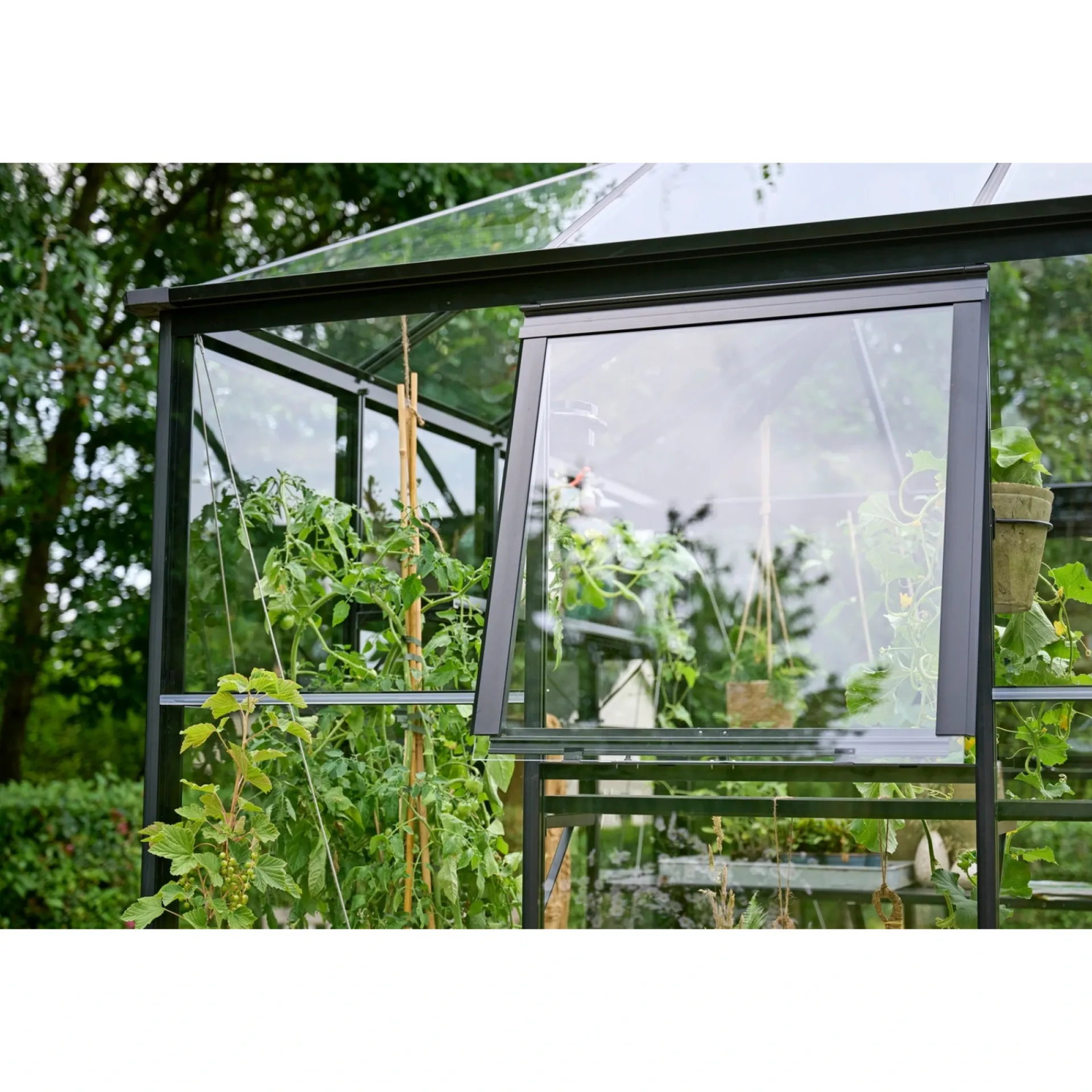 New Halls QUBE SQUARE DRIVHUS 3 MM HÆRDET GLAS HELE BANER SORT 6,3 M2