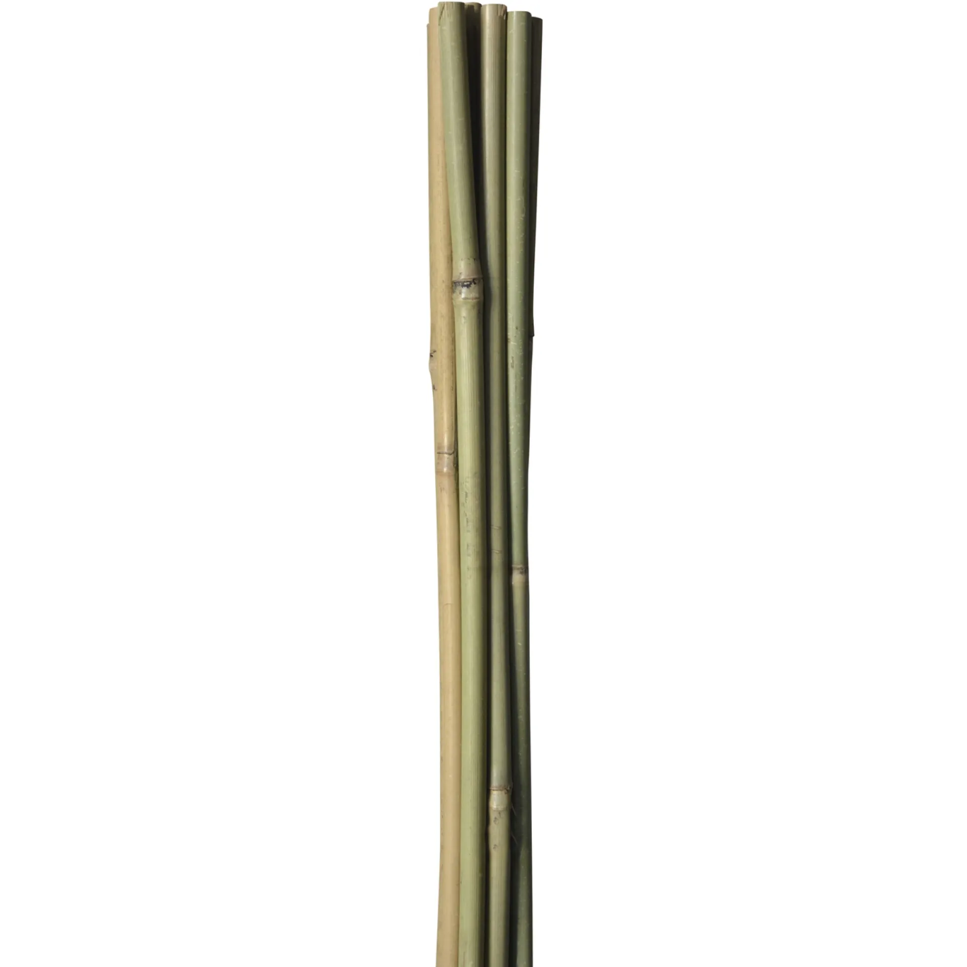 Best HOME it GARDEN BAMBUSPINDE 60 CM