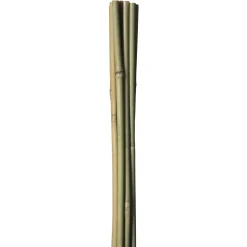 Best HOME it GARDEN BAMBUSPINDE 90 CM