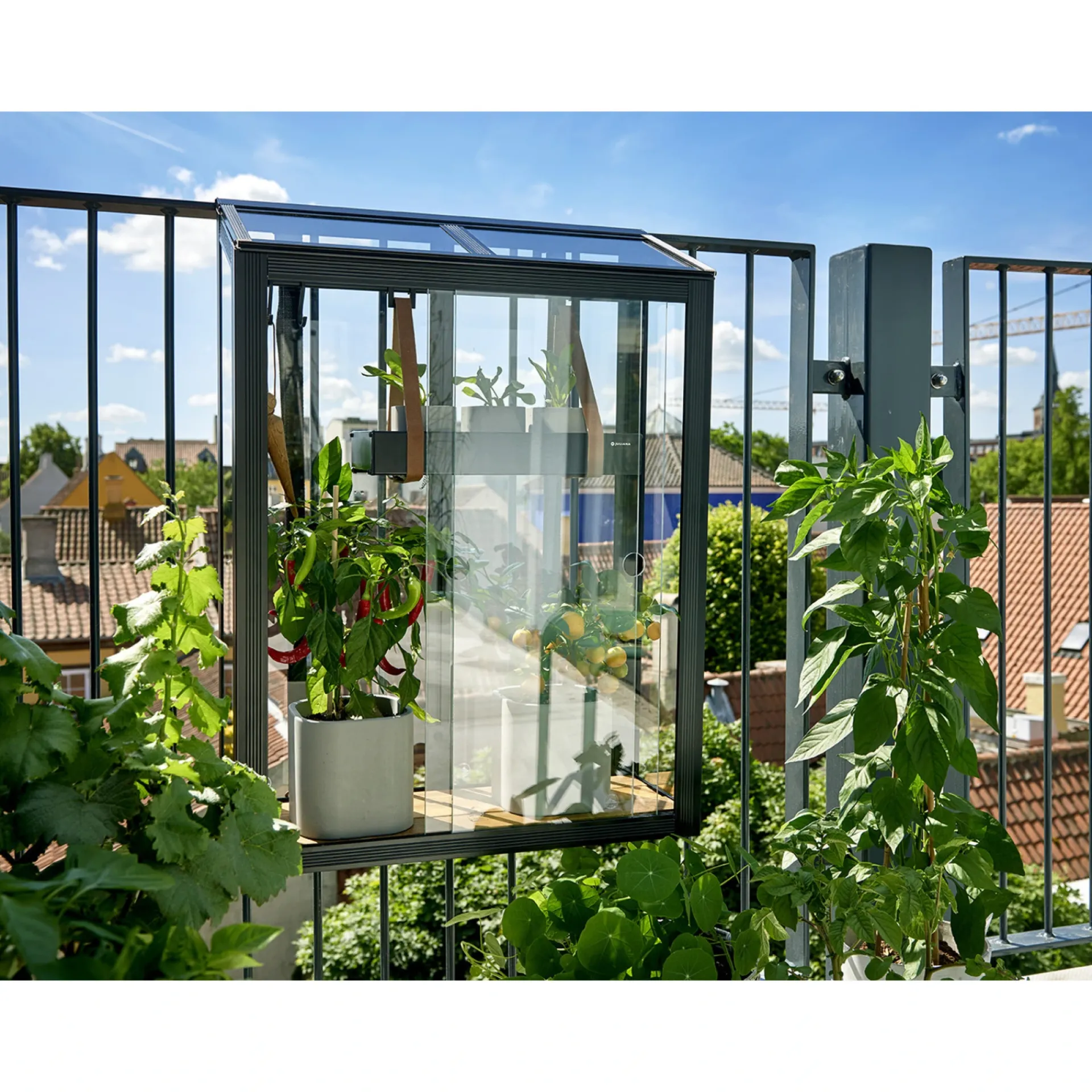Clearance Juliana URBAN BALCONY VÆGDRIVHUS 4 MM HÆRDET GLAS HELE BANER SORT 0,16 M²