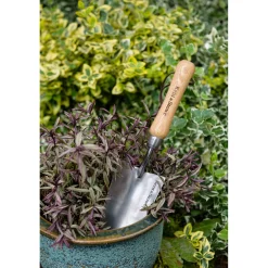 Clearance Kent & Stowe PLANTESKE