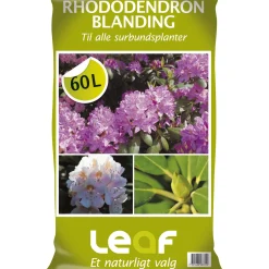 Online Leaf RHODODENDRONBLANDING 60 L