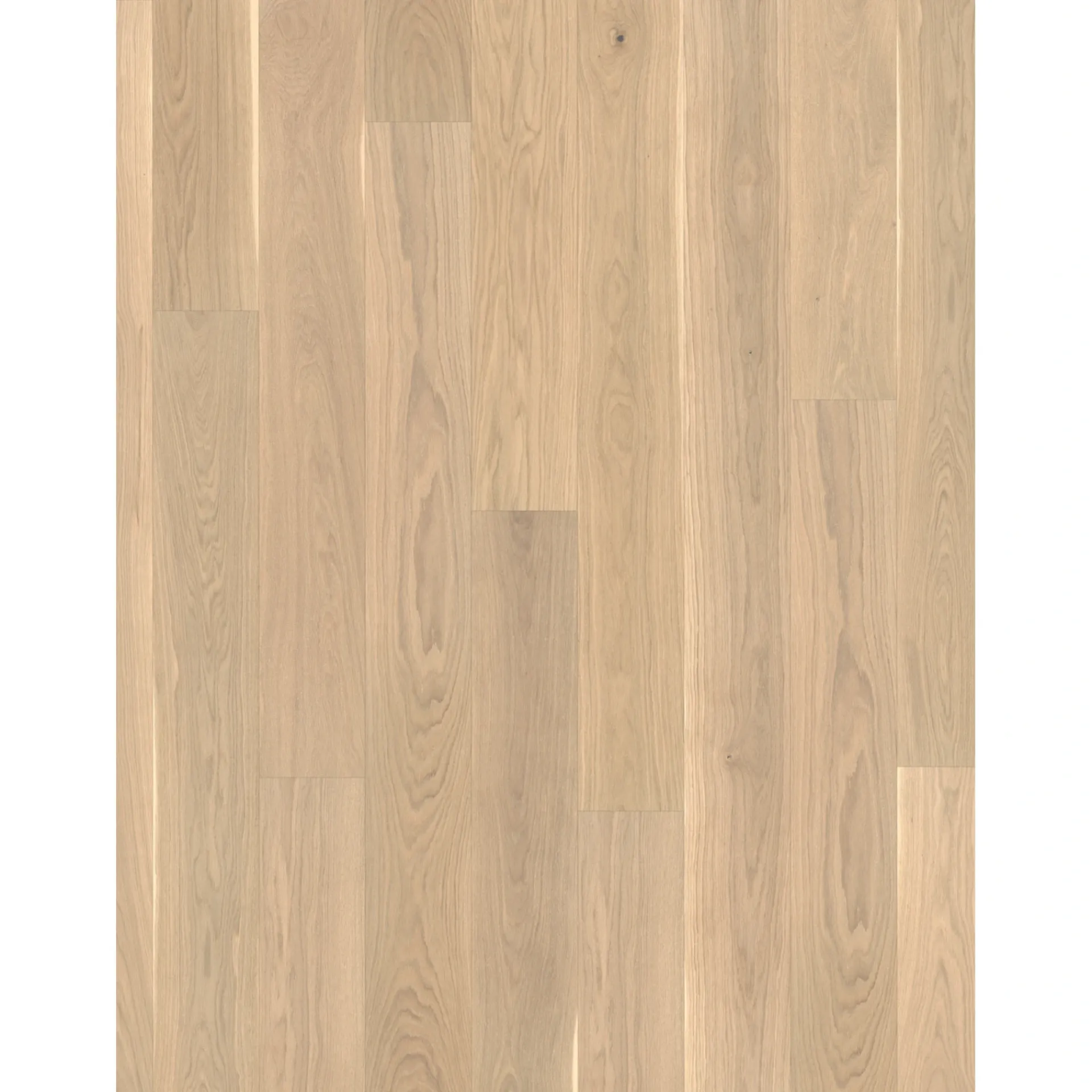 New Parador CLASSIC 3060 LAMELPLANK PARKETGULV EG HVID MATLAK