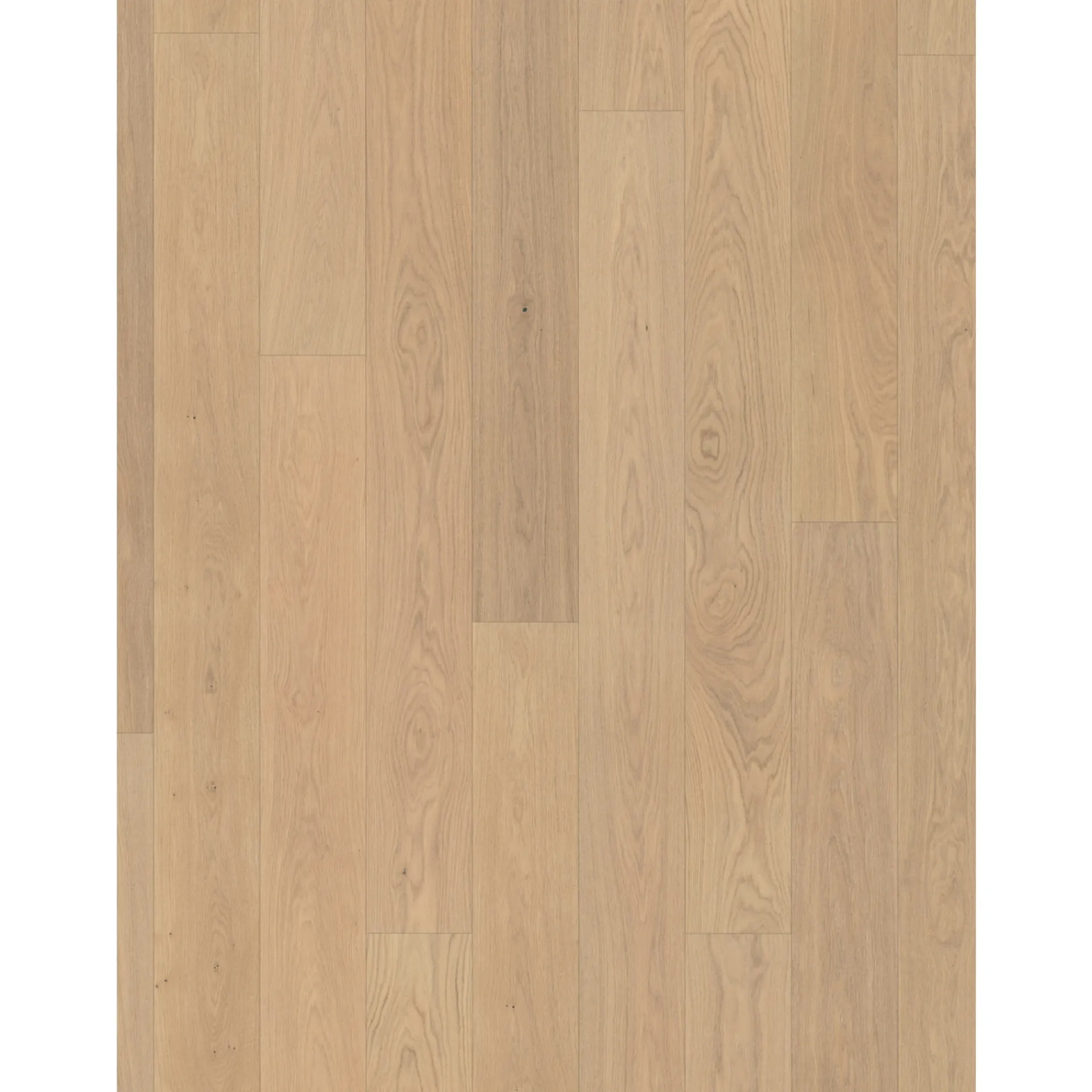Clearance Parador CLASSIC 3060 LAMELPLANK PARKETGULV EG MATLAK NATUR
