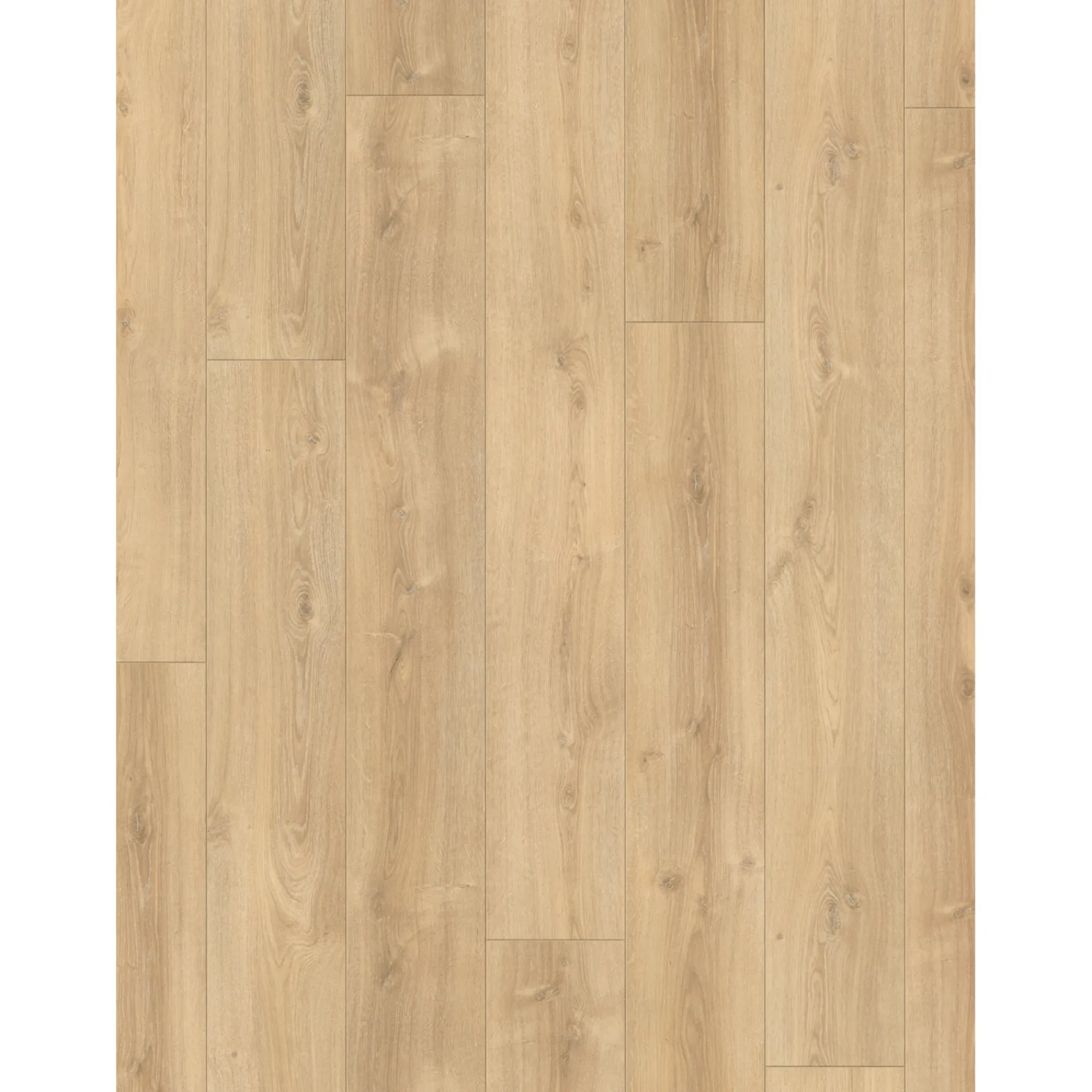 Best Parador TRENDTIME 6 LAMINATGULV EG NOVA LYS KALKET