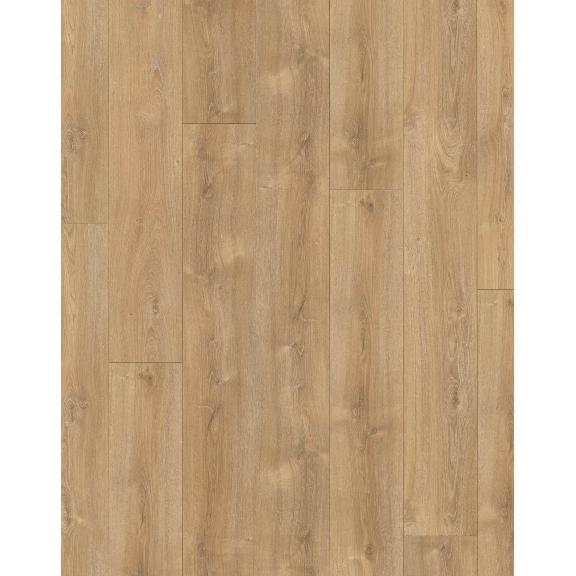 Hot Parador TRENDTIME 6 LAMINATGULV EG NOVA KALKET