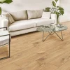 New Parador URBAN CLICK-IN PLANK LAMINATGULV EG MUSE
