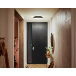Hot Philips Hue WA ENRAVE M PLAFOND 19W SORT 437 MM