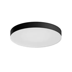 Online Philips Hue WA ENRAVE XL PLAFOND 48W SORT 600 MM