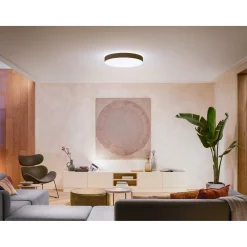 Online Philips Hue WA ENRAVE XL PLAFOND 48W SORT 600 MM