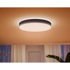 Online Philips Hue WA ENRAVE XL PLAFOND 48W SORT 600 MM