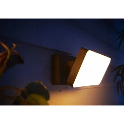 Philips Hue WCA DISCOVER UDENDØRS VÆGLAMPE 31W SORT
