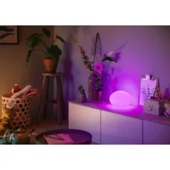 Clearance Philips Hue WCA FLOURISH BORDLAMPE HVID 26,1 CM