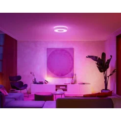 Best Philips Hue WCA INFUSE PLAFOND 34W HVID 380 MM