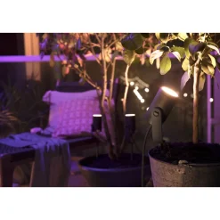 Hot Philips Hue WCA LILY BASIS SPOTLAMPE SORT INTEGRERET LED 8W