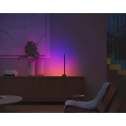 Outlet Philips Hue WCA WCA BORDLAMPE SORT 55,3 CM
