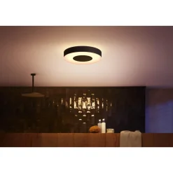 Online Philips Hue WCA XAMENTO LOFTLAMPE 33W SORT 38,1 CM