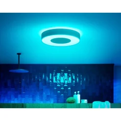 Philips Hue WCA XAMENTO PLAFOND 53W HVID 476 MM