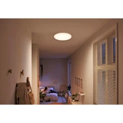 Philips MOIRE PLAFOND 6W HVID 22,5 CM
