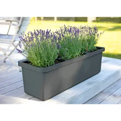 Sale Pindstrup TRIO SELVVANDENDE PLANTEKASSE M/HJUL ANTRACIT