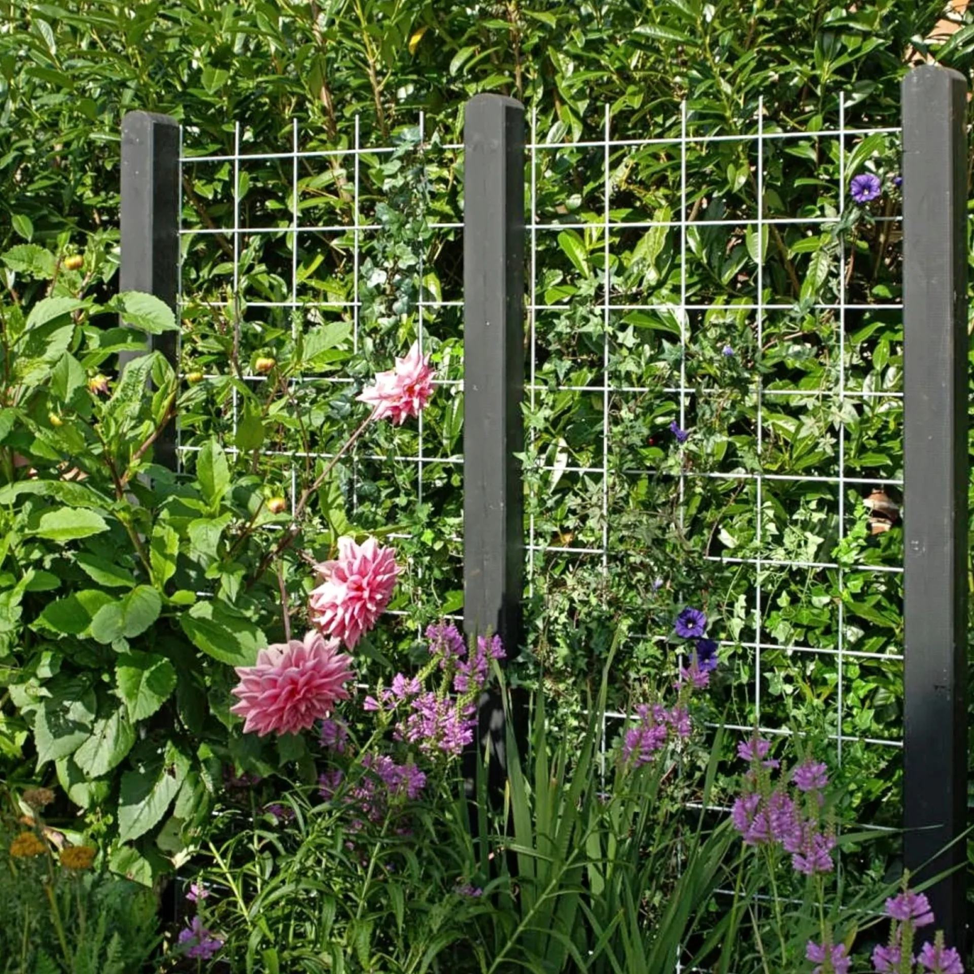 Best Plus ESPALIER STÅL GALVANISERET LOOK 90 X 180 CM