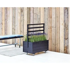 Sale Plus MED ESPALIER BLOMSTERRUMDELER SORT 105 X 48 X 88 CM