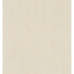 Outlet Rasch STUDIO 2027 ENSFARVET TAPET 0,53X10 M