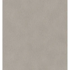 Hot Rasch STUDIO 2027 GASELLE PELS TAPET 0,53X10 M