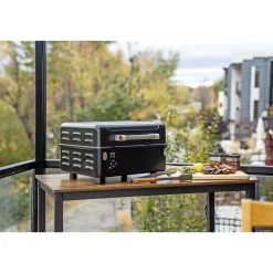 Online Traeger RANGER TRÆPILLEGRILL SORT
