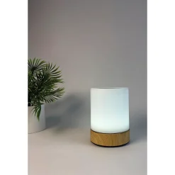Outlet Veli Line MOOD LIGHT GENOPLADELIG BORDLAMPE MULTI