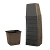 Online Weibulls DYRKNINGSKRUKKE 6 CM 30-PAK