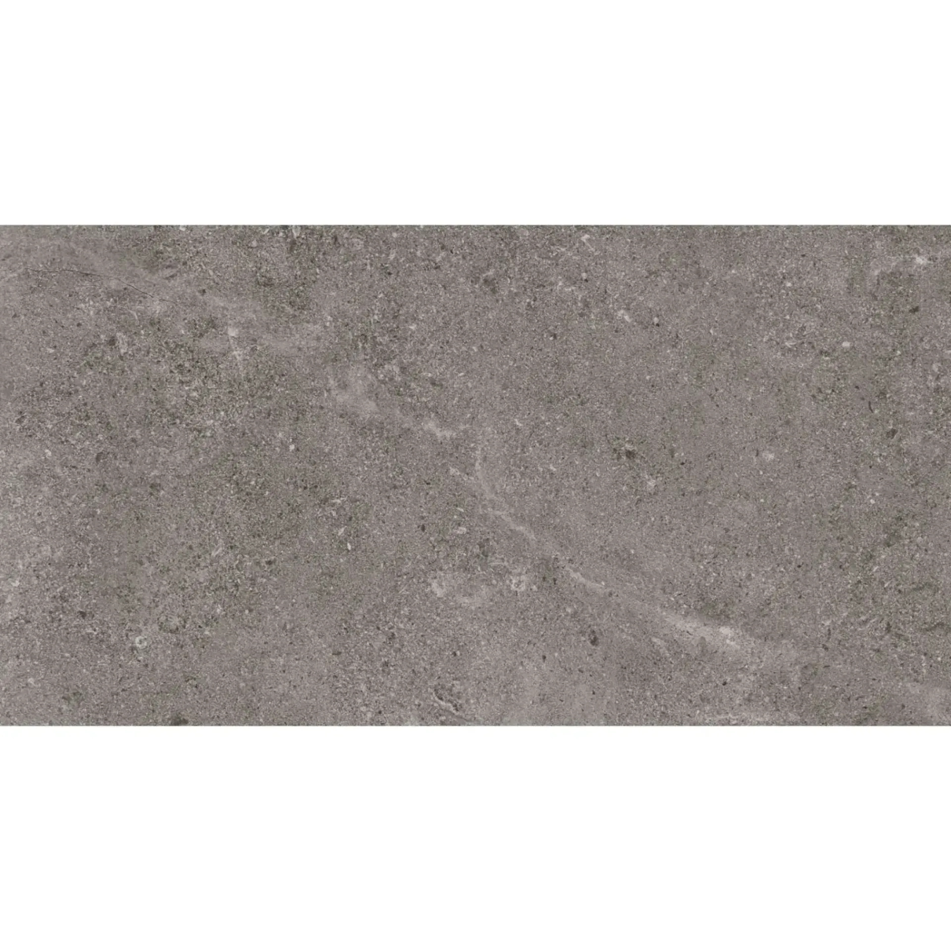 Clearance XL-BYG LECCESE FOSSILE GULVFLISE 30X60 MØRK GRÅ